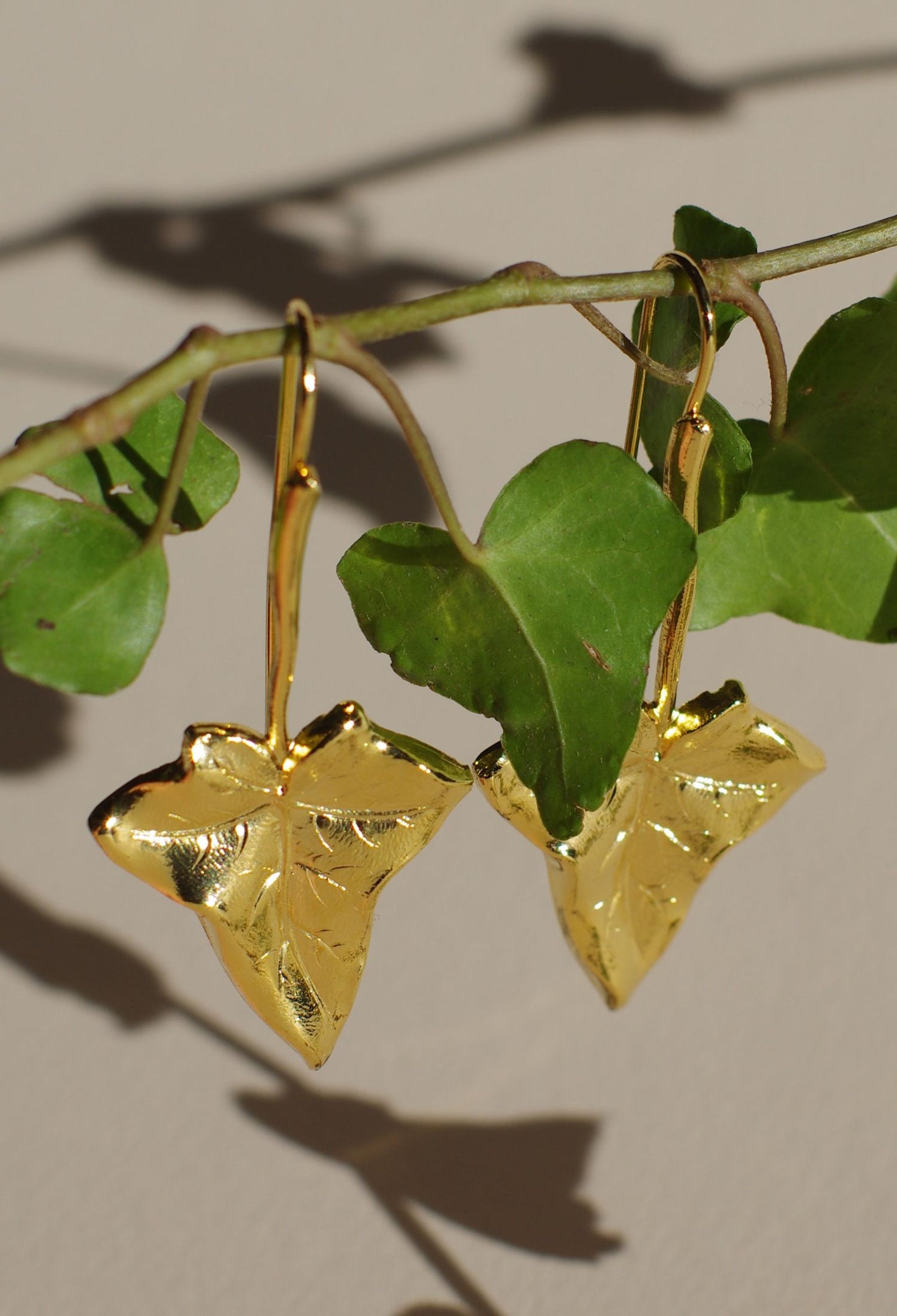 Gold Ivy earrings