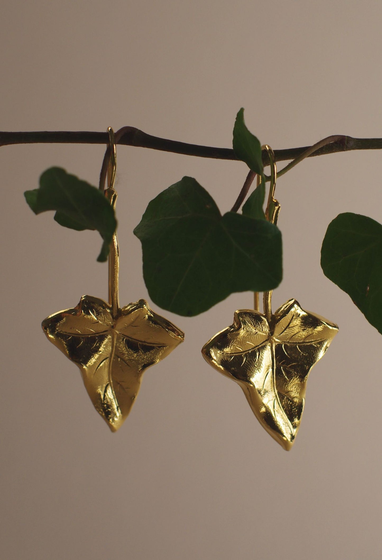 Gold Ivy earrings