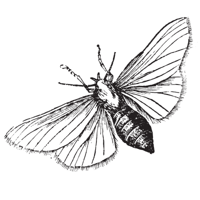 Unique and daring pieces