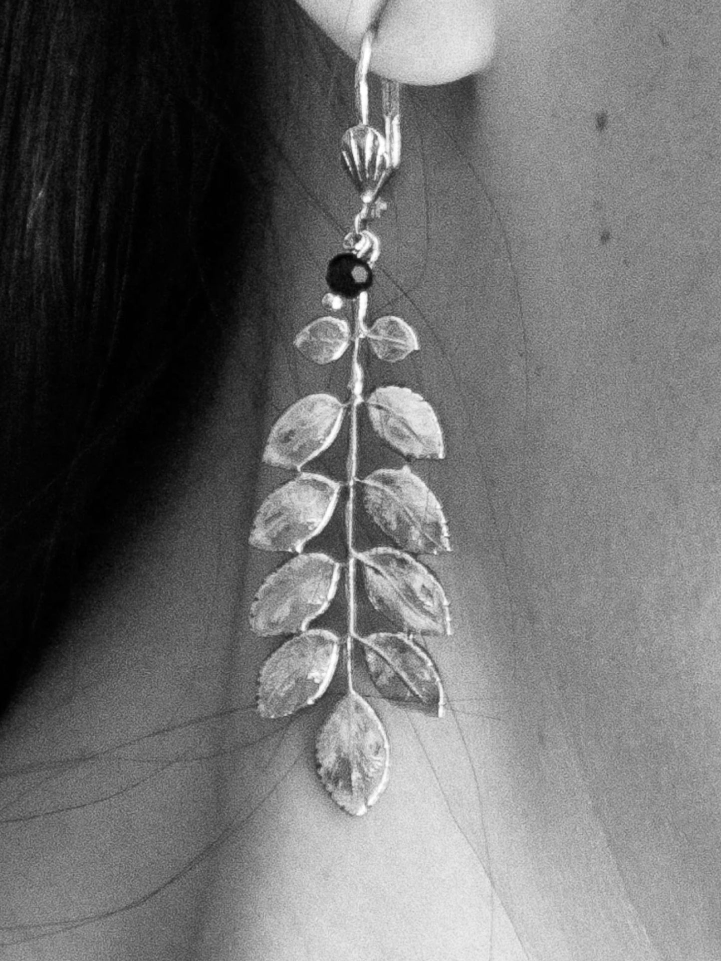 Acacia leaf earrings