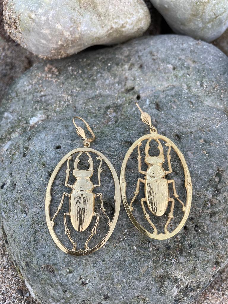 Scarabee Maddie gold earrings