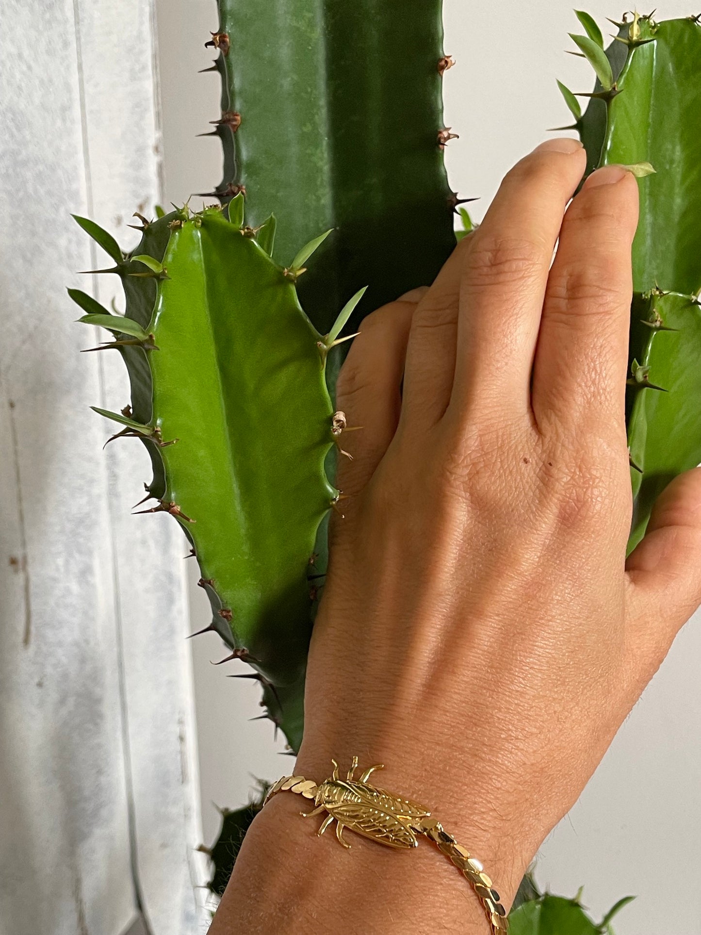 Petite Cigale Cica Gold Bracelet