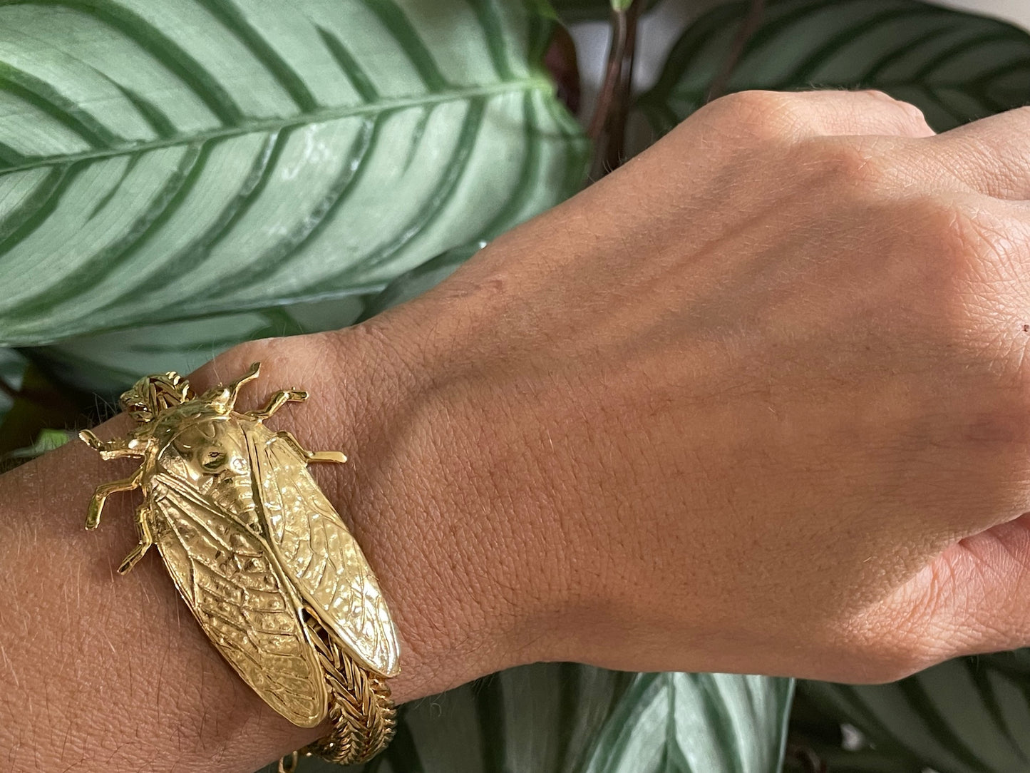 Cicada gold bracelet