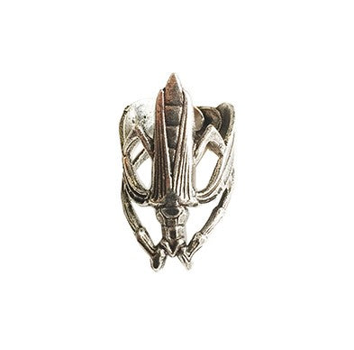Winged beetle ring