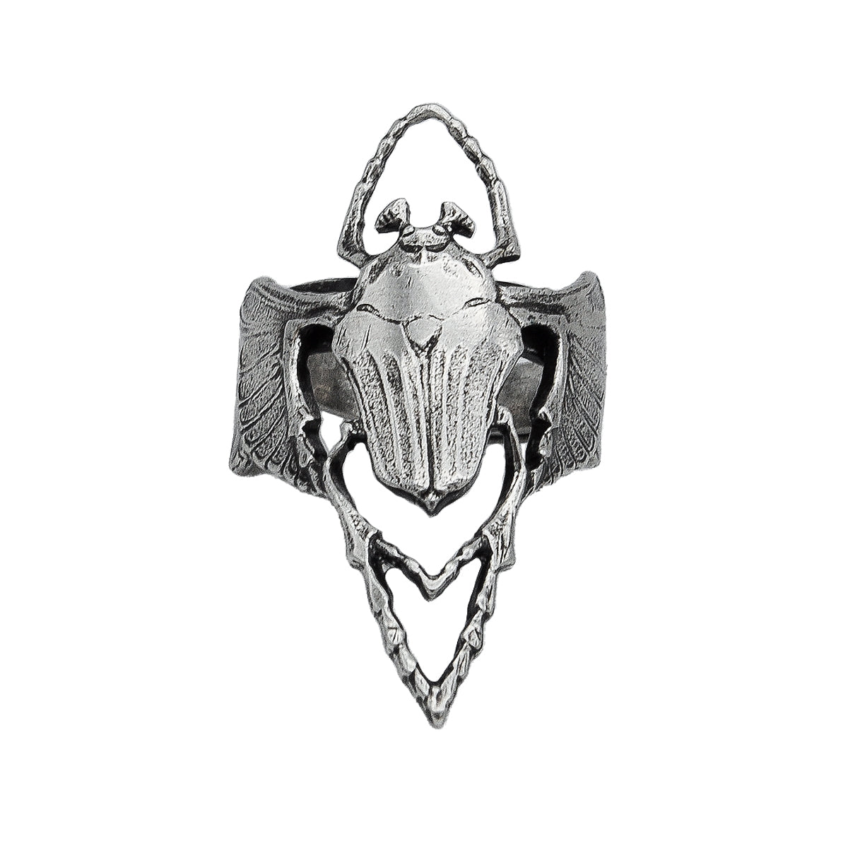 The Silver Insect Box