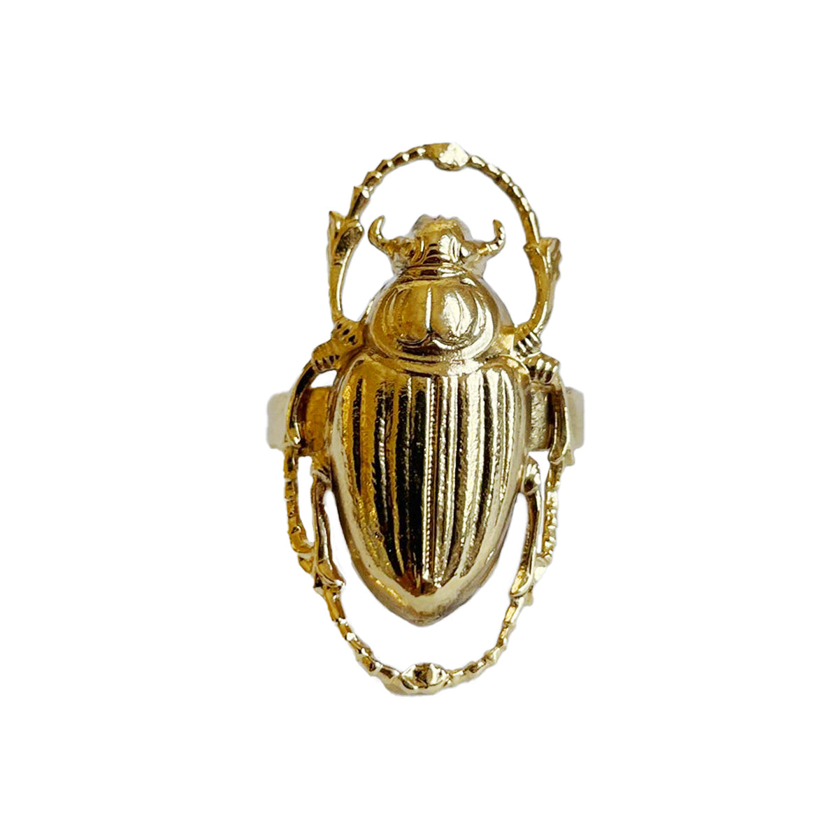 The Golden Insect Box