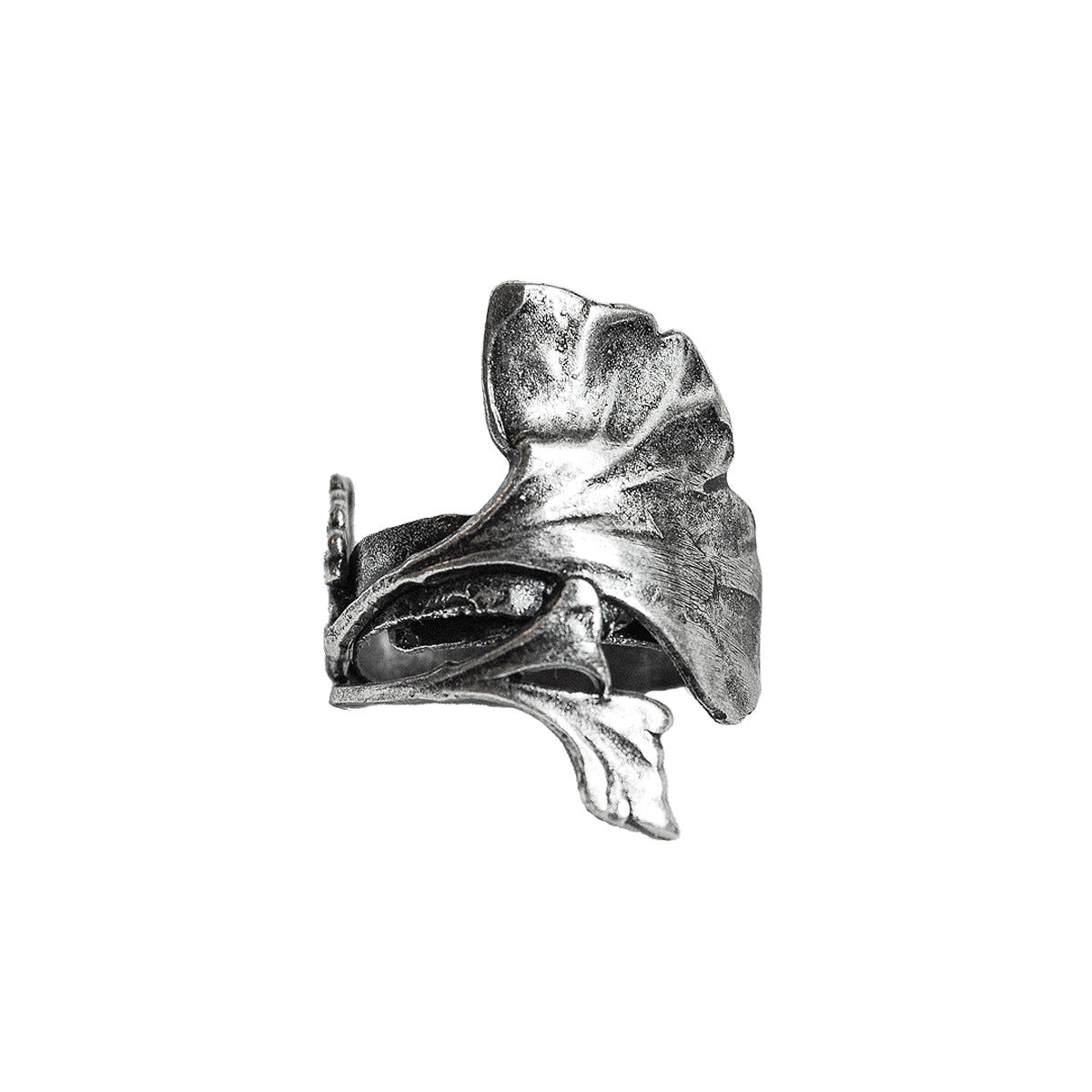 Ginkgo ring