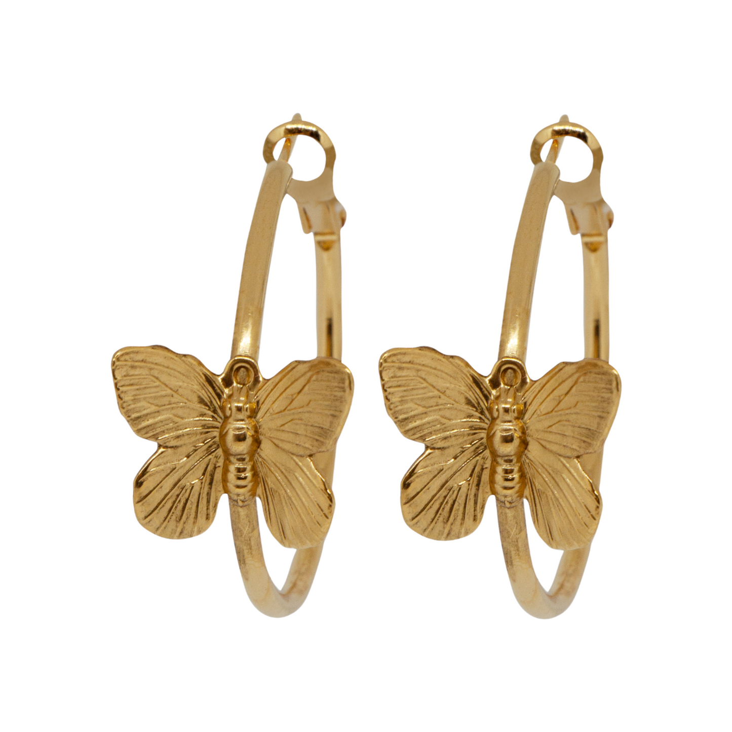 Golden Creole Butterfly