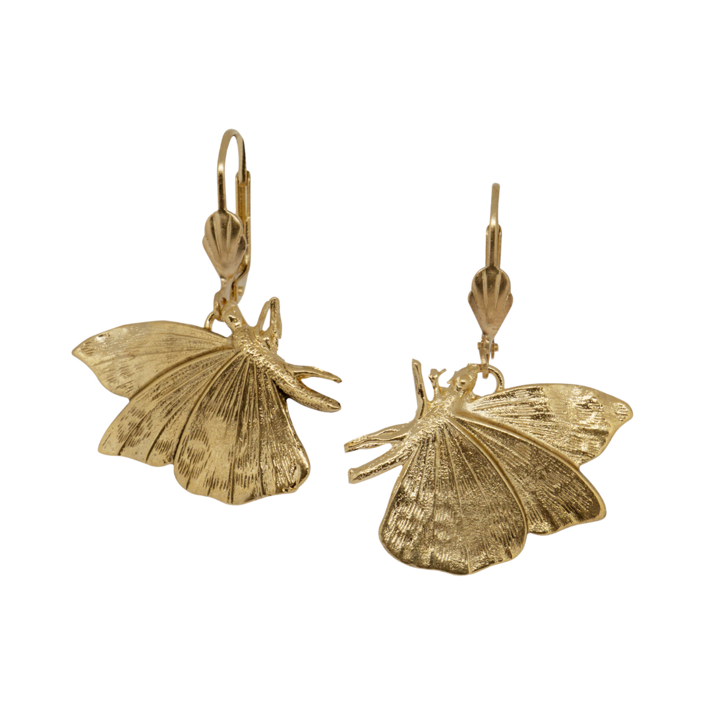 Gold-plated Small Butterfly Earrings
