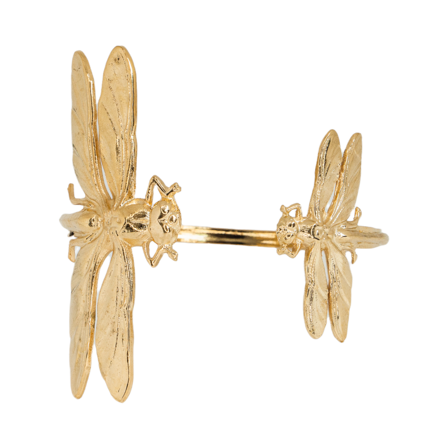 The Golden Insect Box