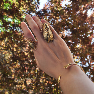 
                  
                    Golden Cicadas Ring
                  
                