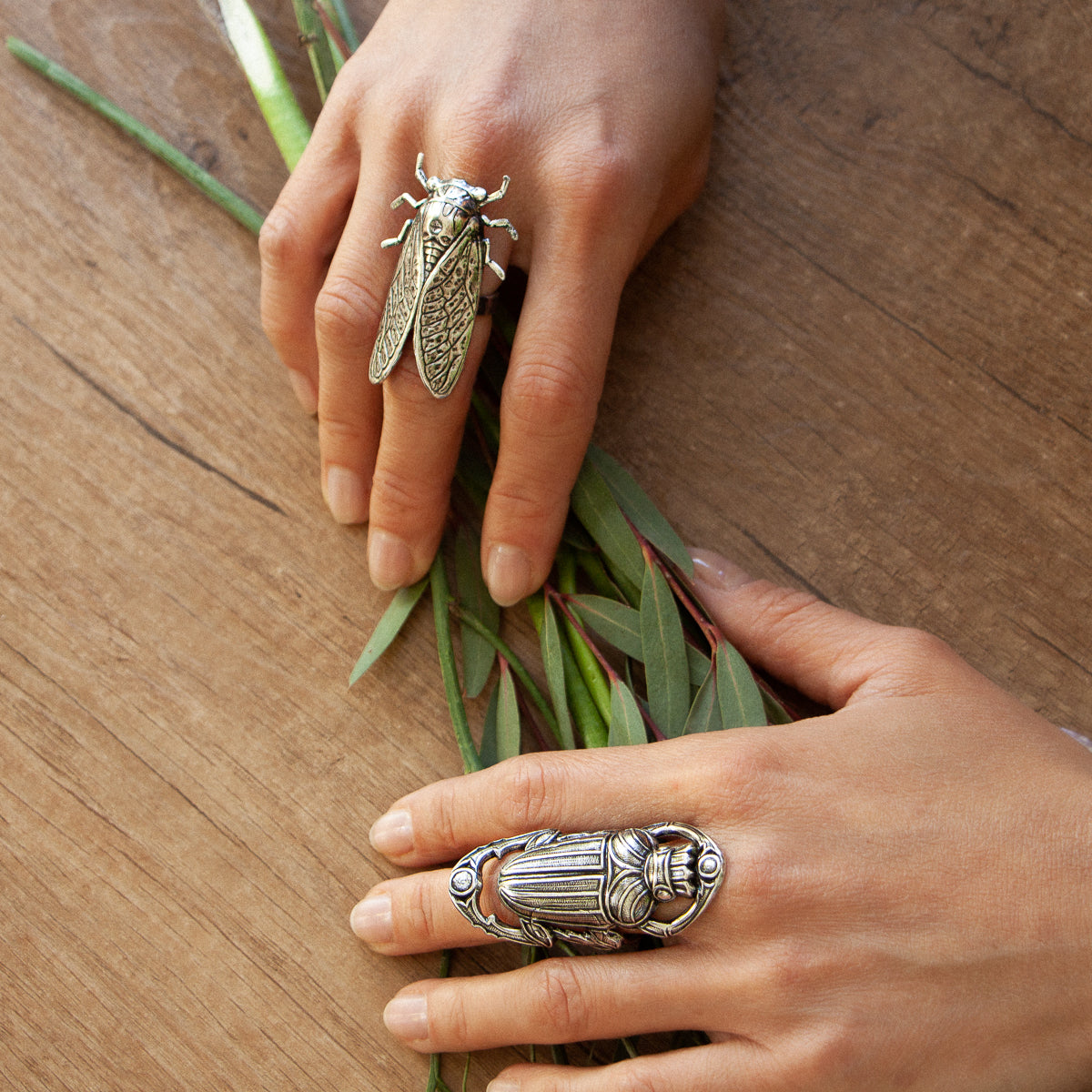 Cigale ring
