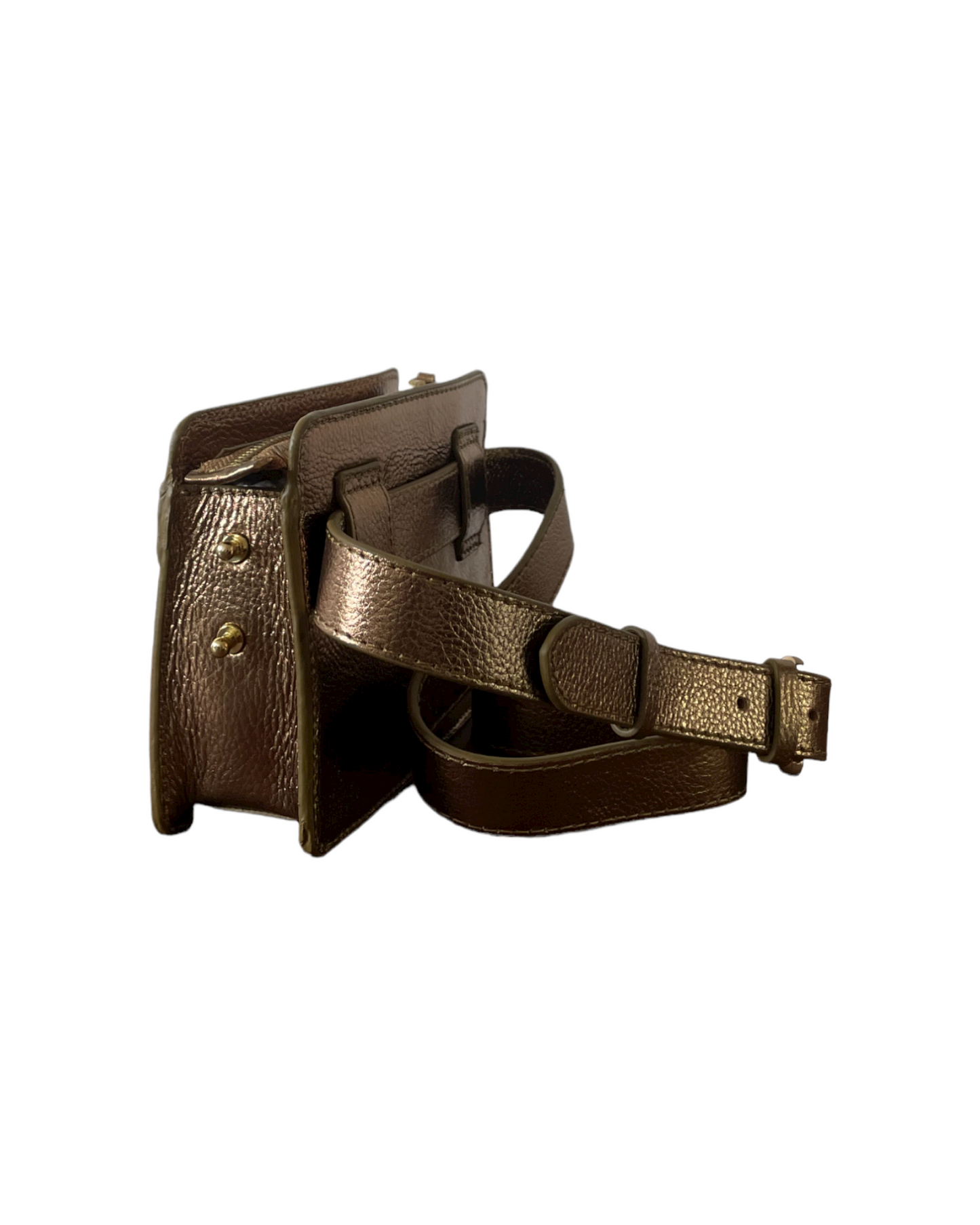 NUMBER 9-Golden Metallic Scarab bag