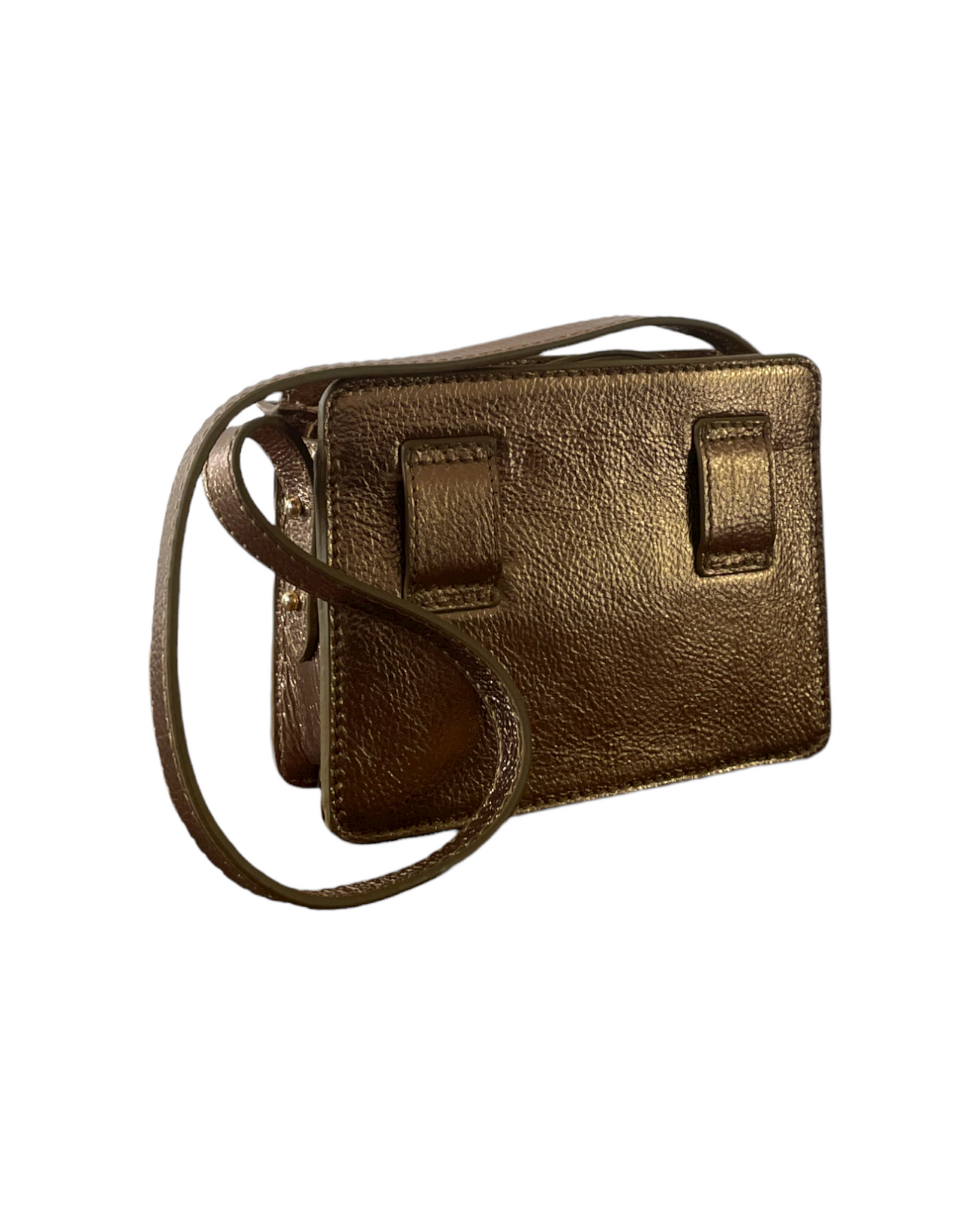 NUMBER 9-Golden Metallic Cicada bag