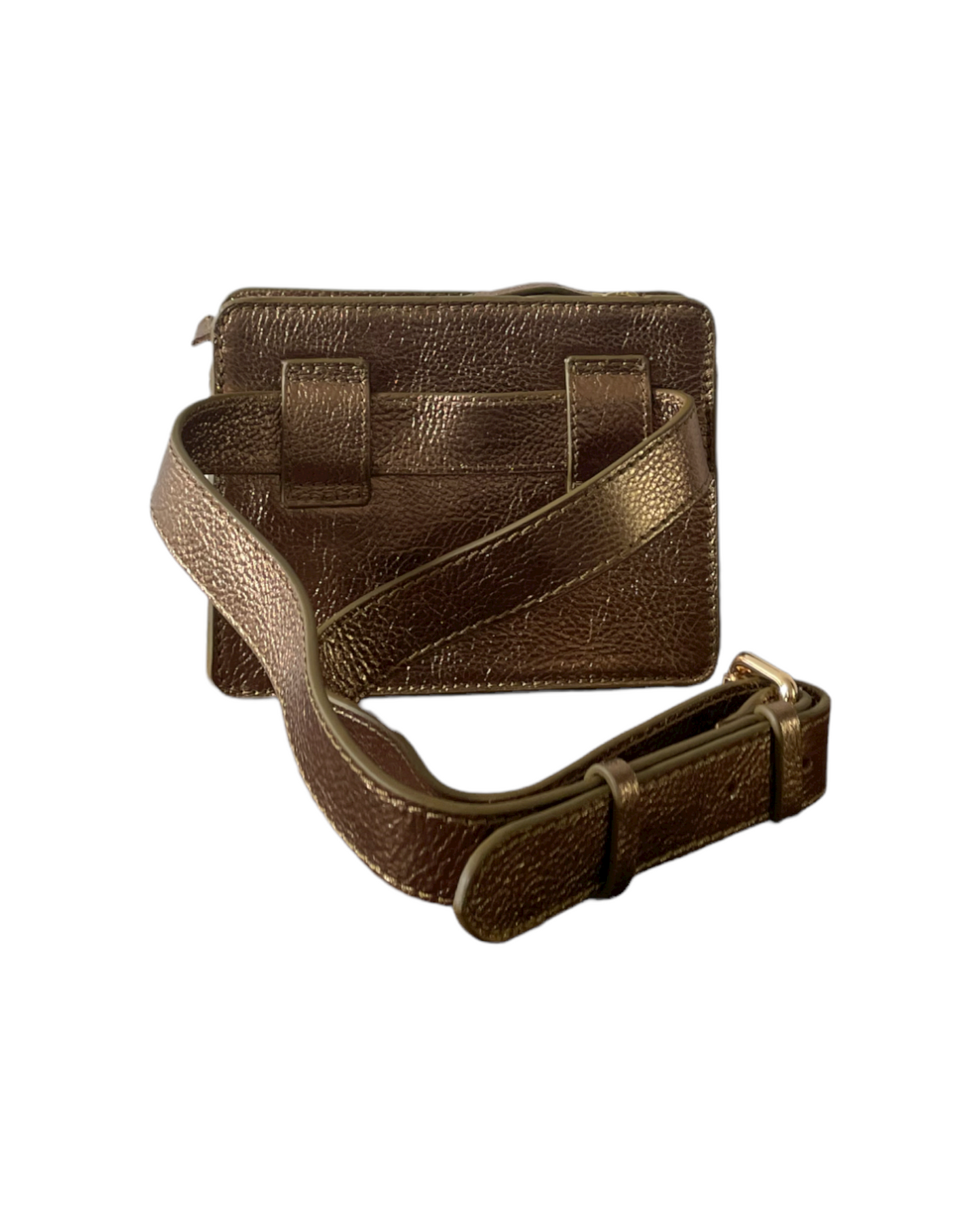NUMBER 9-Golden Metallic Cicada bag
