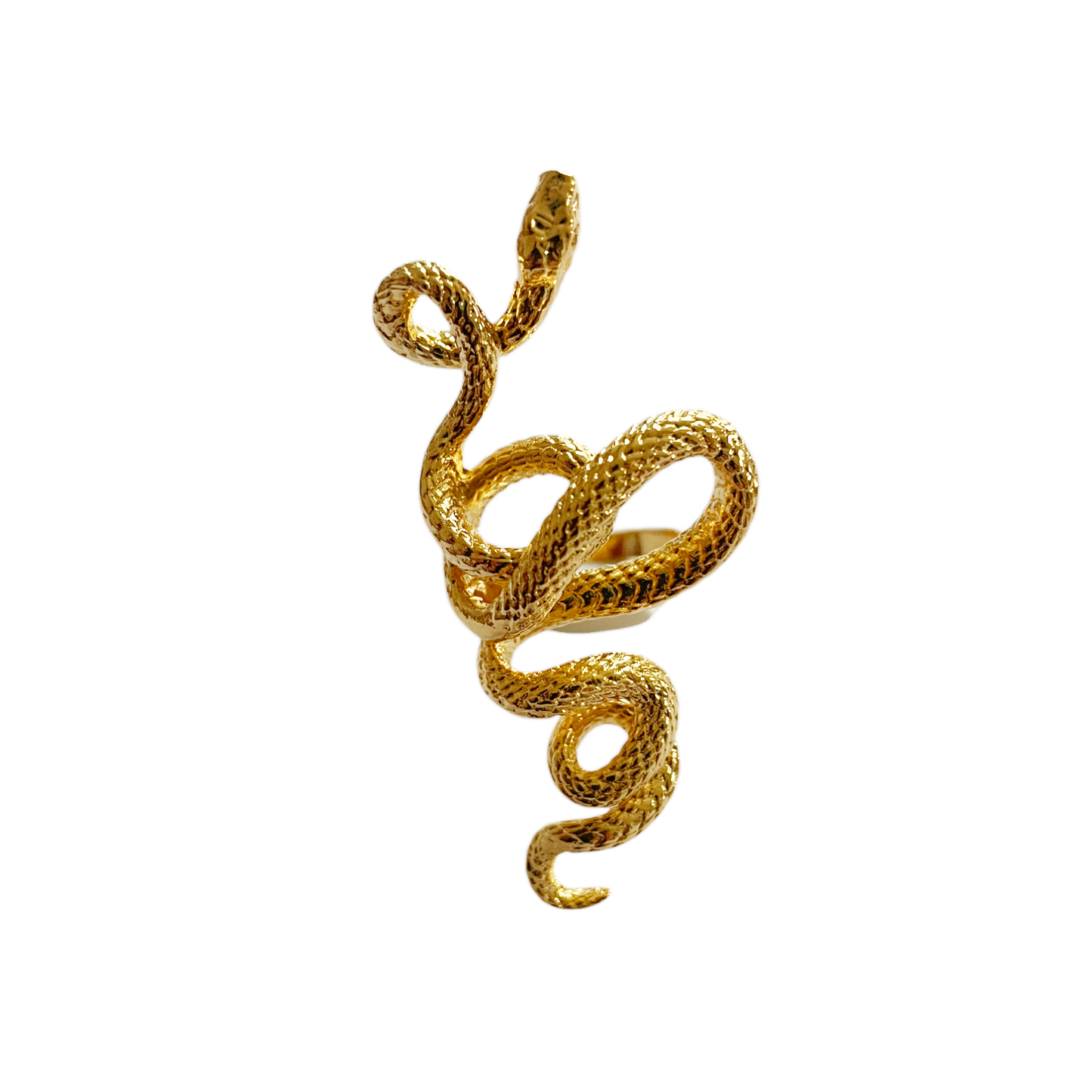 Bracelet Chaîne Serpent Oxyde Tige Fine - DORIANE BIJOUX Bracelet Chaîne Serpent Oxyde Tige Fine - DORIANE BIJOUX