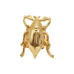 Gold ring with a Cockchafer beetle
